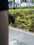 Naughty amateur twink is boasting his dick