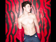Sweet young twink Shawn Mendes excitingly poses and undresses